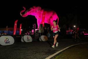 BIB: 
                            <button type="button" onclick="openModal(26534394)" class="btn btn-primary btn-sm float-right btn-popup" data-toggle="modal" data-target=".modal-high-quality">
                        <i class="fas fa-shopping-cart"></i> Add to Cart
                    </button>
                                            <button type="button" onclick="isThisMe(26534394, true)" class="btn btn-success btn-sm float-right btn-popup btn-isme hidden" data-toggle="tooltip" data-placement="bottom" title="นี่คือรูปของคุณใช่ไหม คลิกที่นี่เพื่อเอาเข้าอัลบั้ม">
                        <i class="fas fa-plus"></i> Add to album
                    </button>
                    <button type="button" onclick="isThisMe(26534394, false)" class="btn btn-warning btn-sm float-right btn-popup btn-isnotme hidden">
                        <i class="fas fa-ban"></i> Remove from album
                    </button>